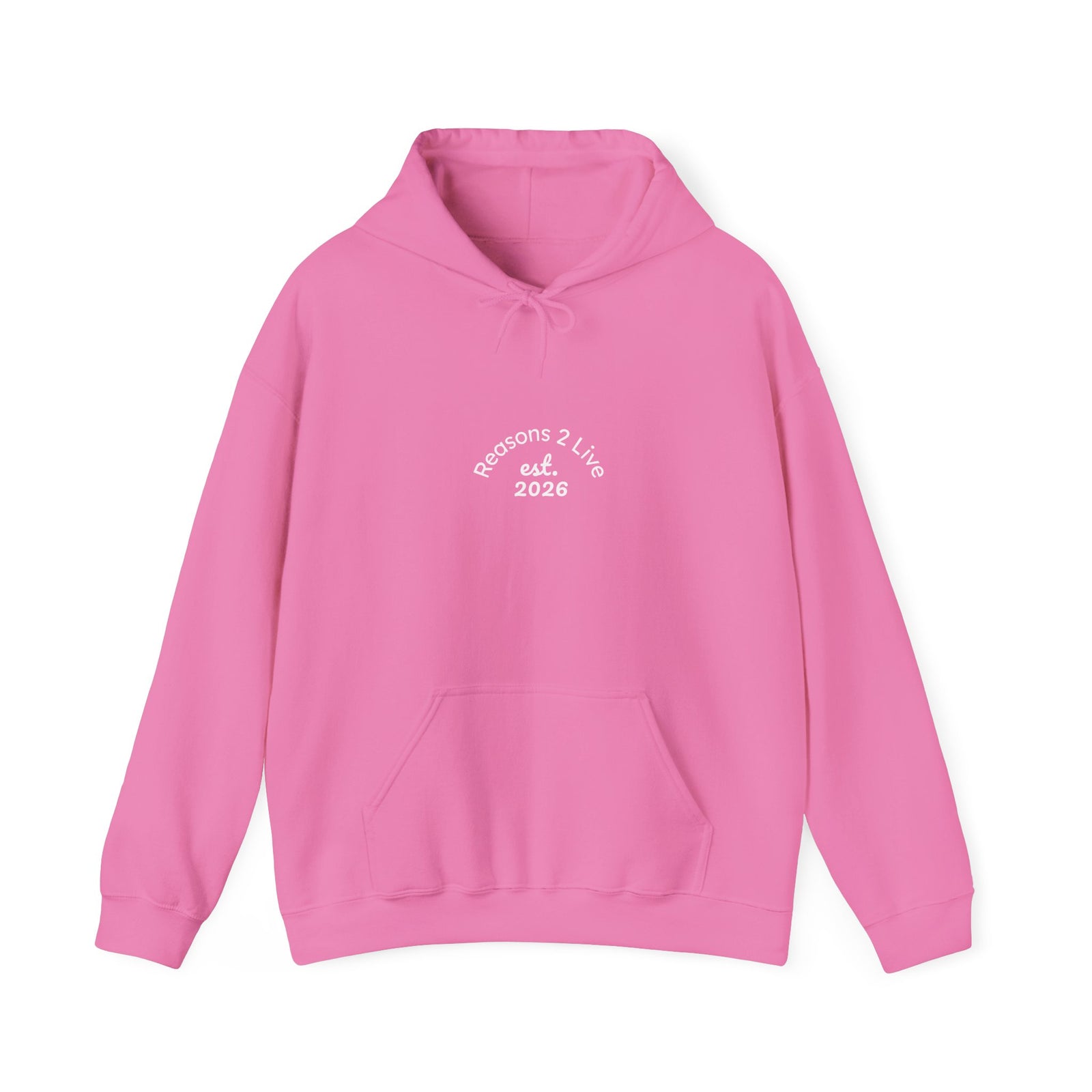Stranger Letter #2 — Reasons2Live Hoodie | Limited Drop