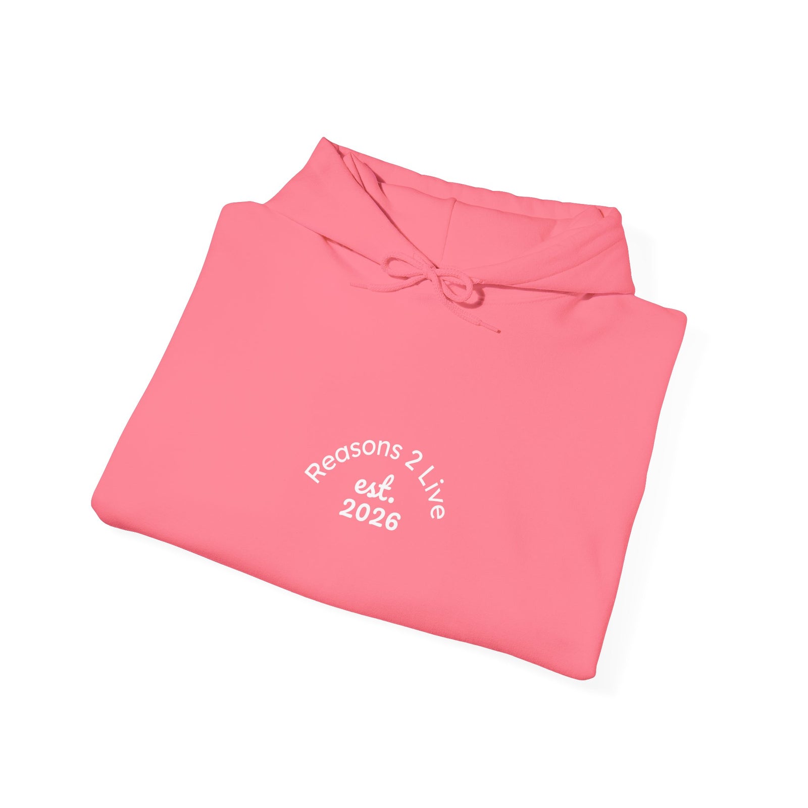 Stranger Letter #2 — Reasons2Live Hoodie | Limited Drop