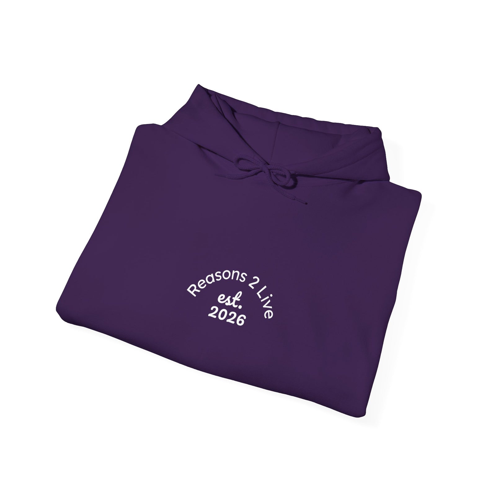 Stranger Letter #2 — Reasons2Live Hoodie | Limited Drop