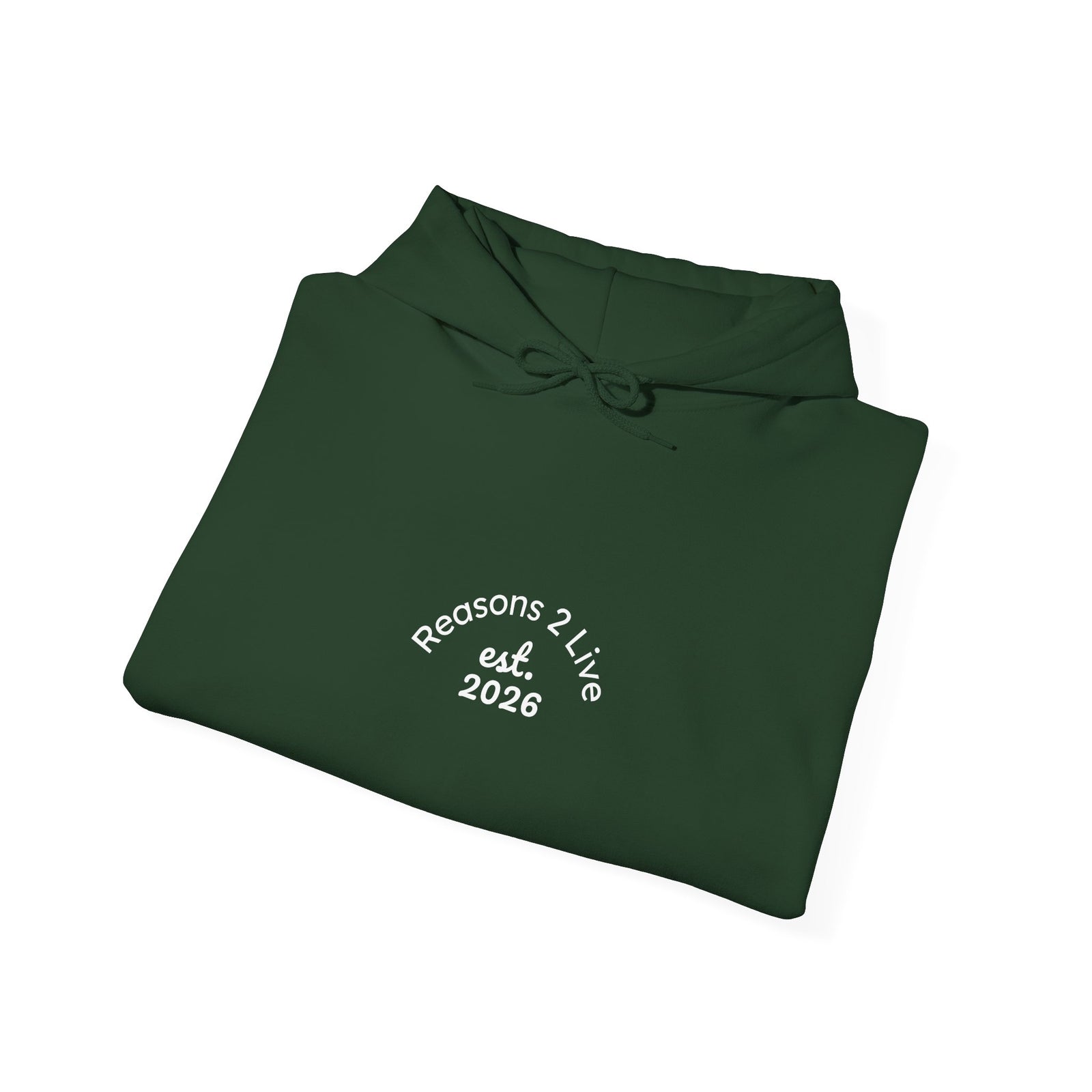 Stranger Letter #2 — Reasons2Live Hoodie | Limited Drop