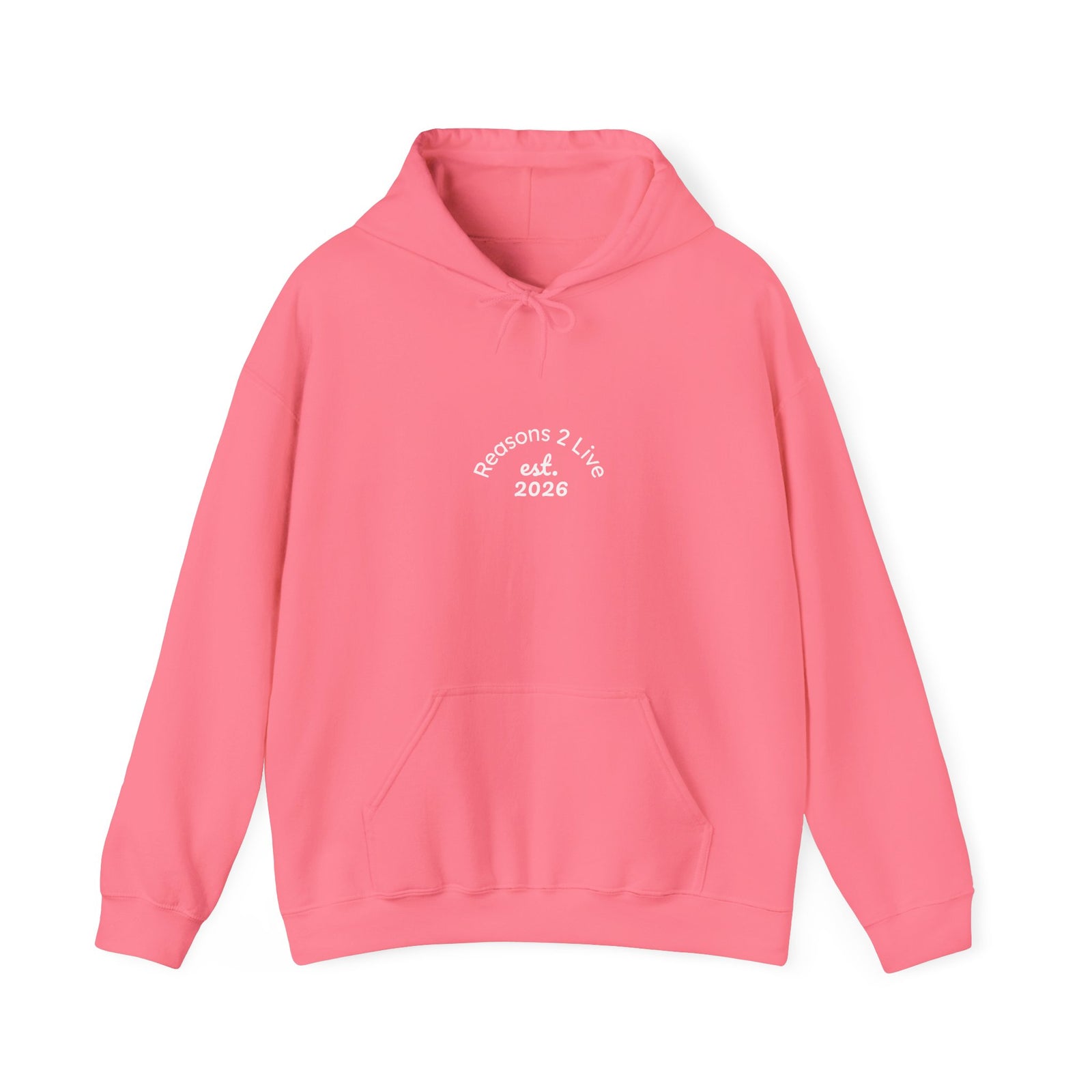 Stranger Letter #2 — Reasons2Live Hoodie | Limited Drop