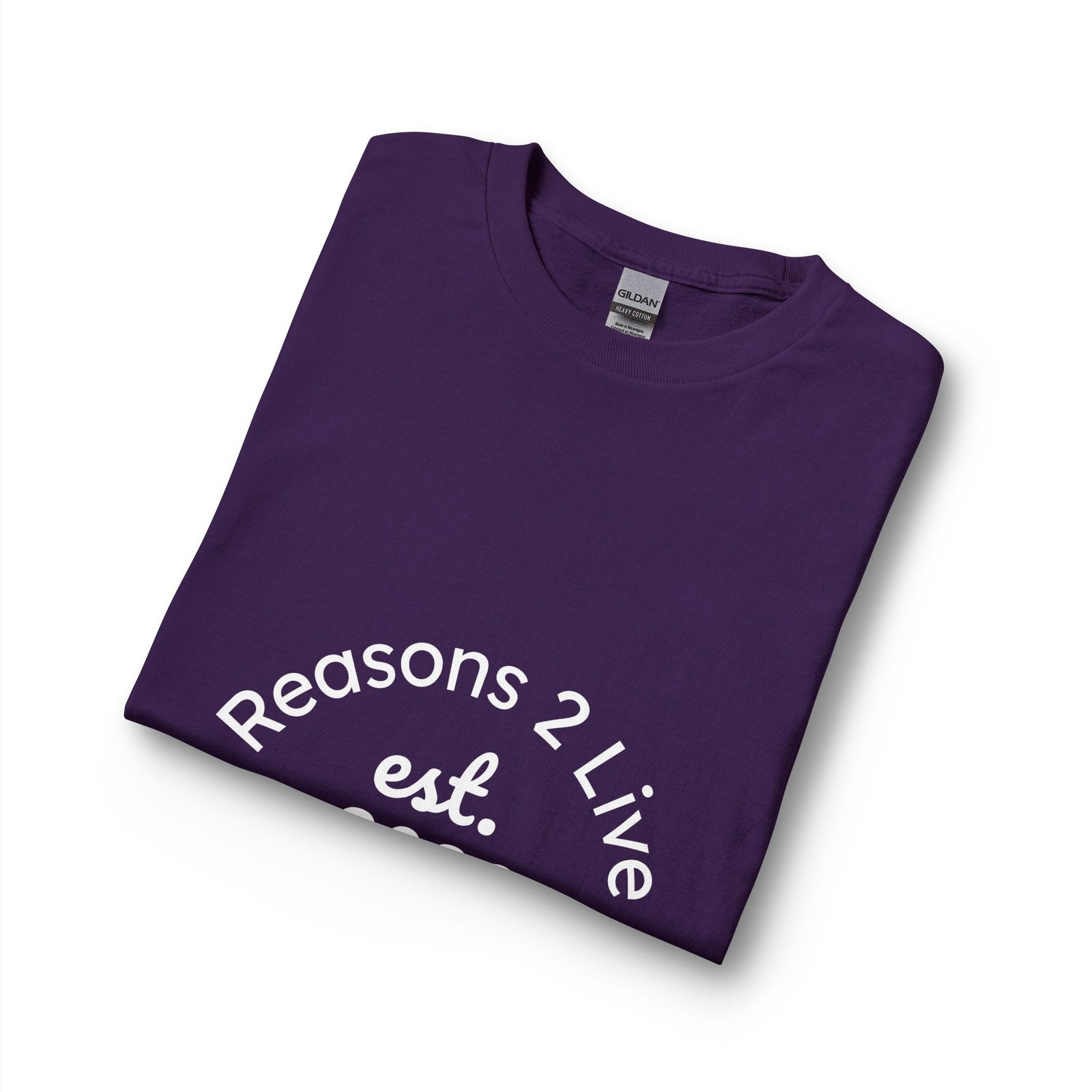 Stranger Letter #2 — Reasons2Live Long Sleeve Tee | Limited Drop