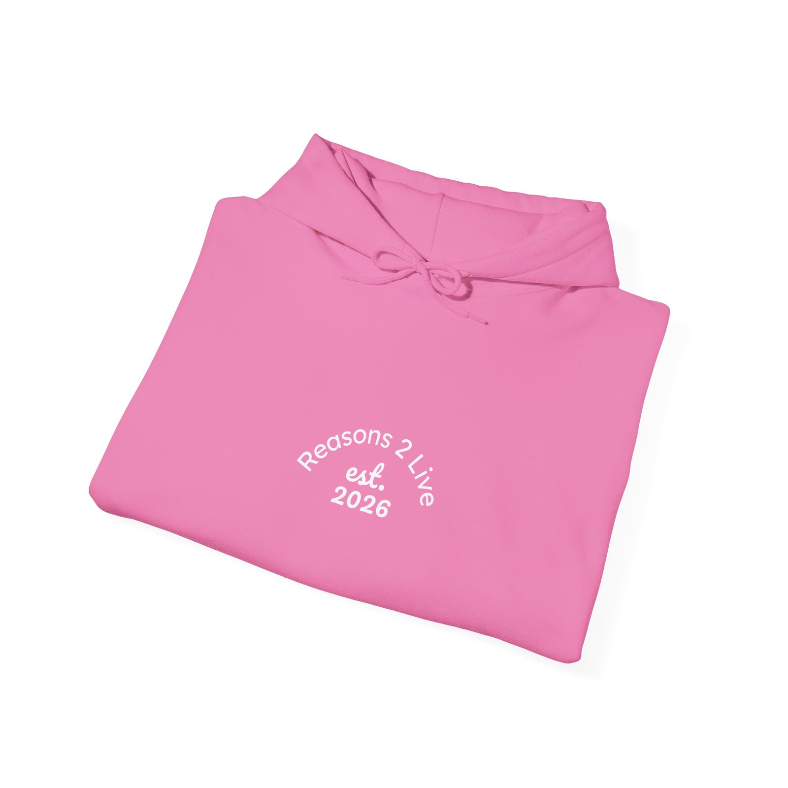 Stranger Letter #1 — Reasons2Live Hoodie | Limited Drop