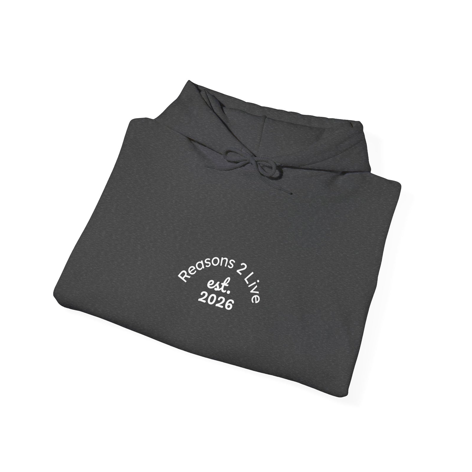 Stranger Letter #2 — Reasons2Live Hoodie | Limited Drop
