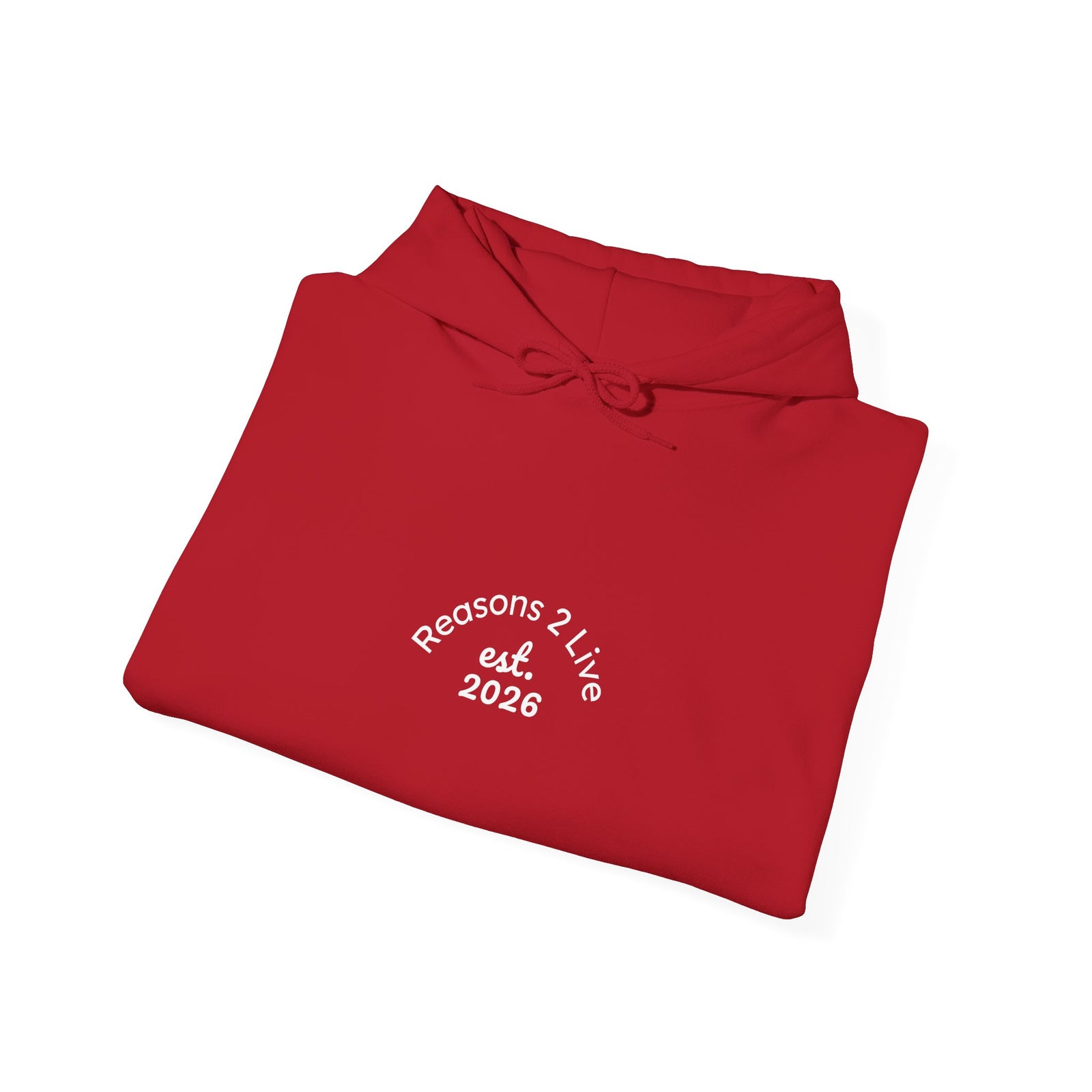 Stranger Letter #2 — Reasons2Live Hoodie | Limited Drop